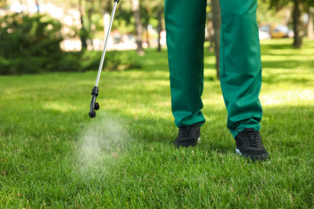 Best Termite Control Services  in Addison, IL
