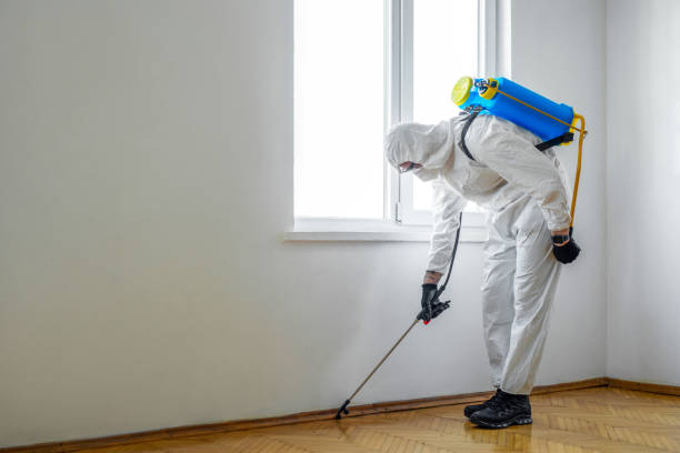 Best Termite Control Services  in Addison, IL