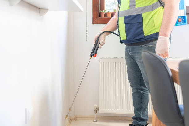 Best Flea Control Services  in Addison, IL