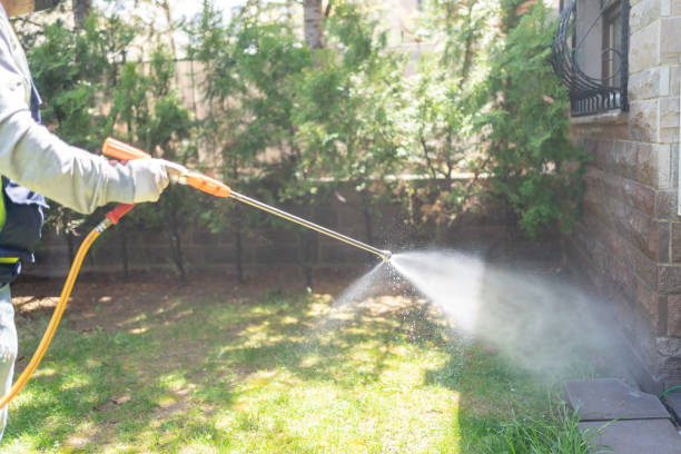 Reliable Addison, IL Pest Control Solutions