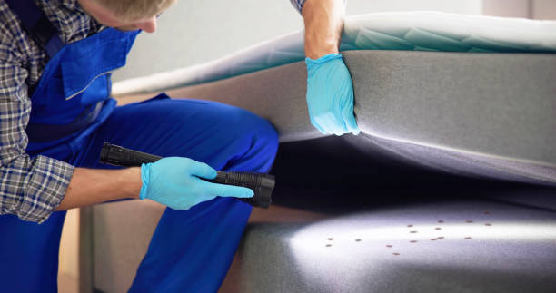 Best Residential Pest Control  in Addison, IL