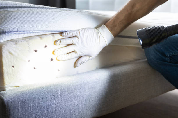 Pest Prevention Services in Addison, IL