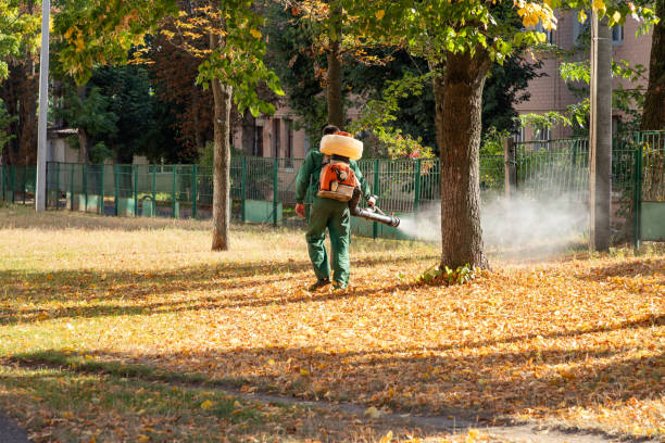 Wildlife Control Services in Addison, IL